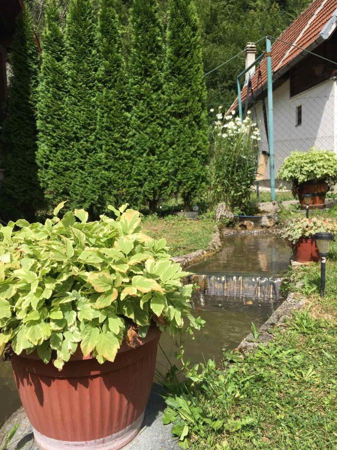 Villa Domacinstvo Ubovic Sipovo Esterno foto