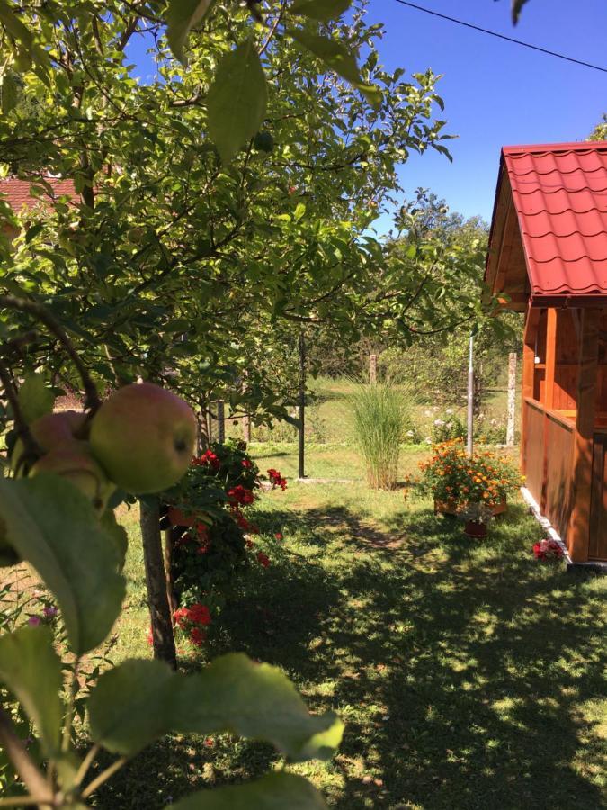 Villa Domacinstvo Ubovic Sipovo Esterno foto
